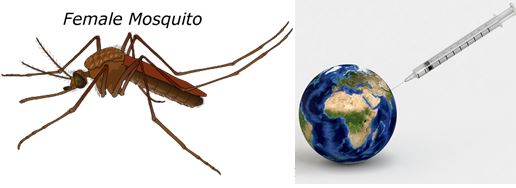 malaria_paludismo_moqquito_anofeles_vacuna_rts_cc0.jpg