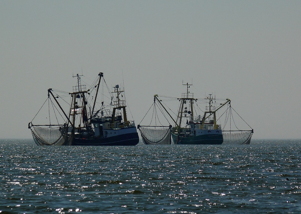 Interceptadas en Mayotte más de 3,5 toneladas de pescado de contrabando procedente de Madagascar