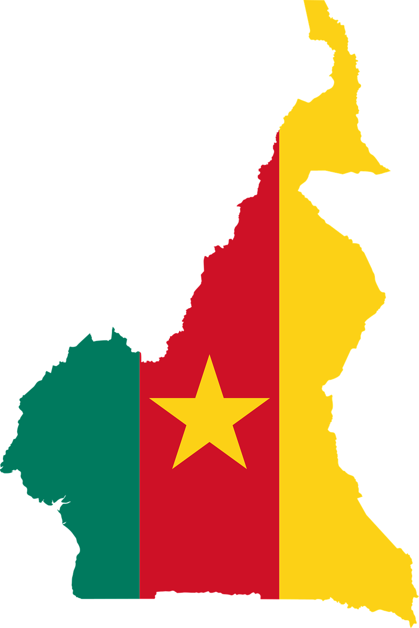 Canadá se incorpora al proceso de paz de Camerún