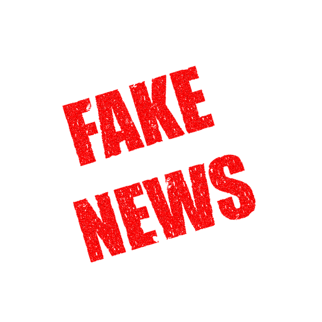 Aumentan las «fake news» en la campaña electoral en Nigeria