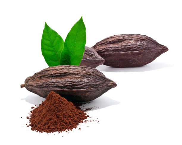 El partido en el gobierno de Ghana insta a ampliar el Plan de Pensiones de los Agricultores del Cacao