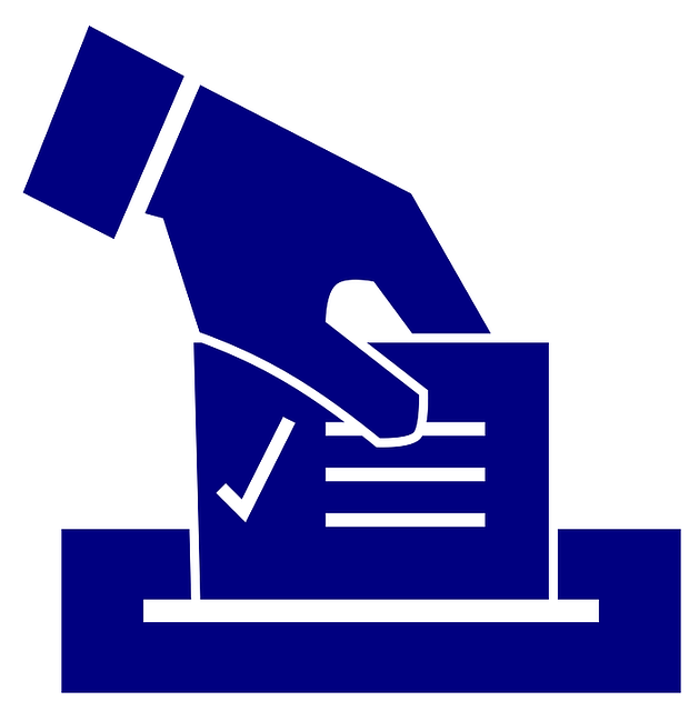 elecciones_cc0-2.png