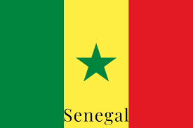“La gente se volverá más radical”: Senegal y los límites de protesta