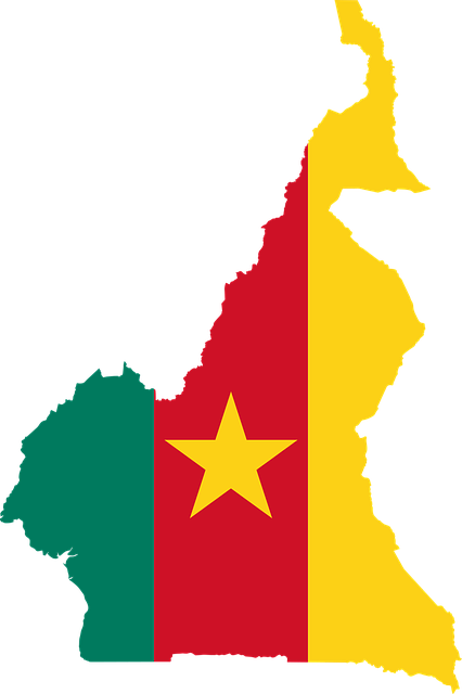 El gobierno de Camerún criminaliza a la sociedad civil por construir en zonas peligrosas