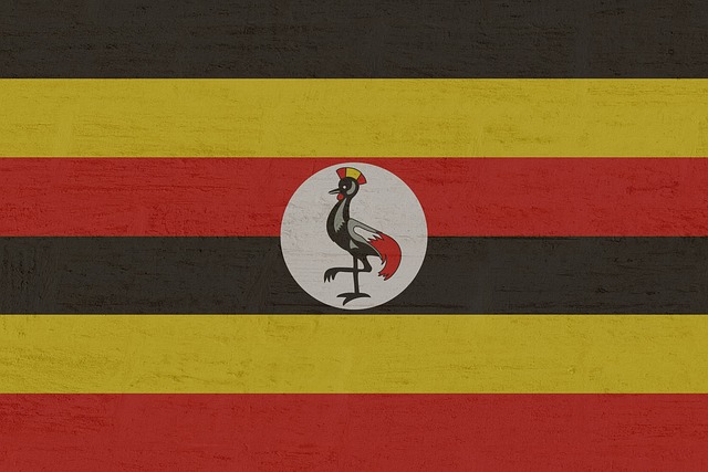 La policía de Uganda realiza simulacros ante inminentes protestas en las calles