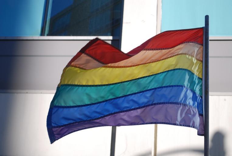 gay_rainbow_flag_pride.jpg