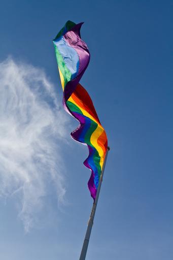 rainbow_flag_gay_symbol.jpg