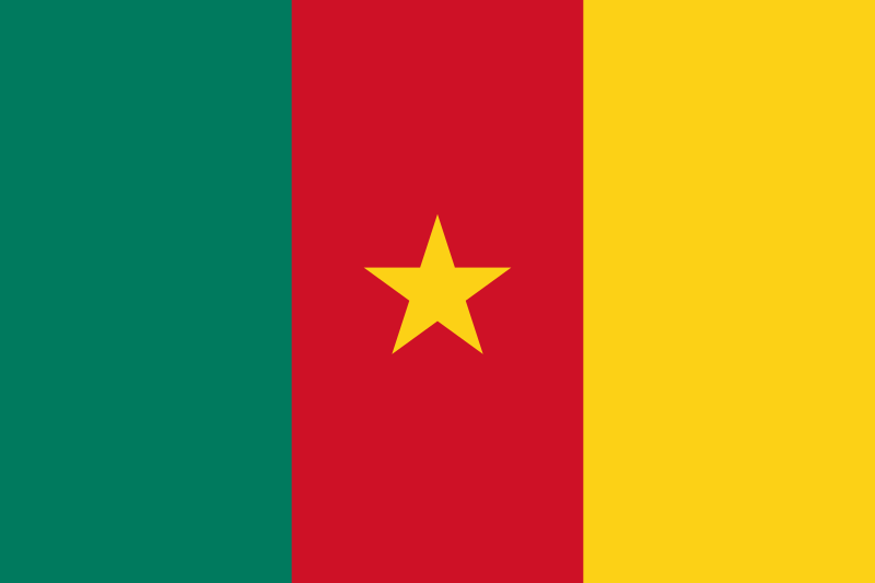 Camerún cierra mercados callejeros debido a un brote de cólera