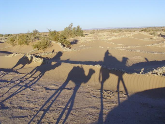 sahara_morocco_desert_barren.jpg