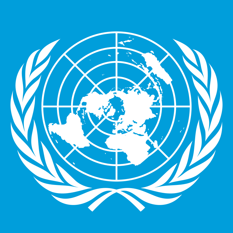 Naciones Unidas a favor de un puesto permanente para África en el Consejo de Seguridad