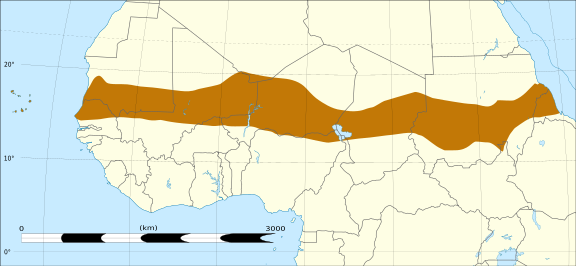 La reorientación de la participación alemana en el Sahel