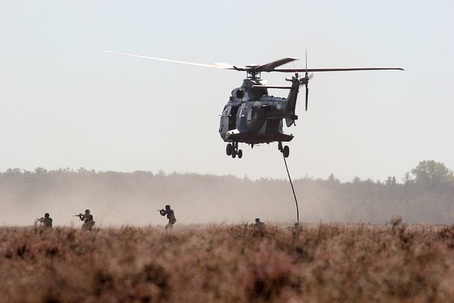 Estados Unidos confirma la muerte de 3 militantes de Al-Shabab