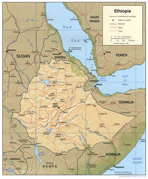 De Etiopía a Sudáfrica: el coste humano de una ruta migratoria hacia el sur desatendida