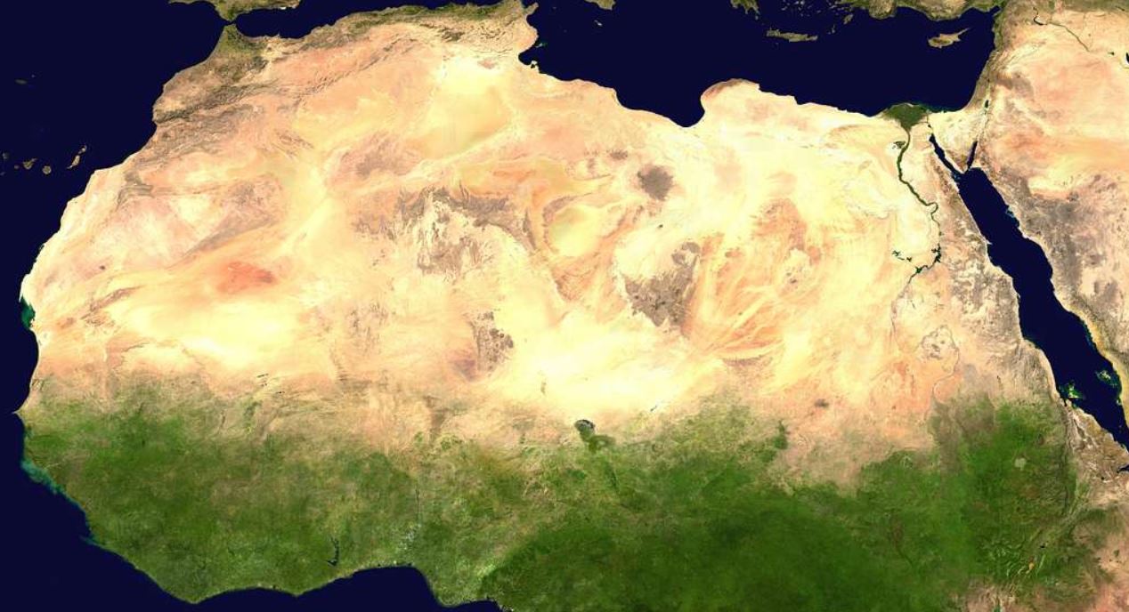 Protegiendo el Sahel y más allá: cómo la protección contra la corrupción podría hacer realidad la Gran Muralla Verde