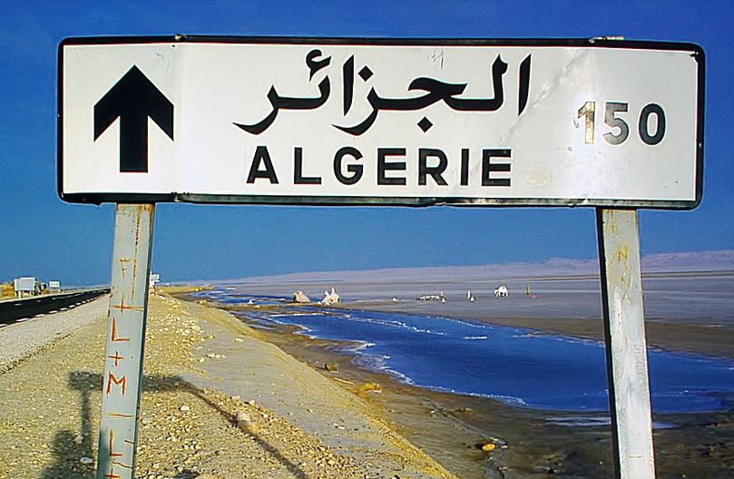 Argelia convoca elecciones anticipadas