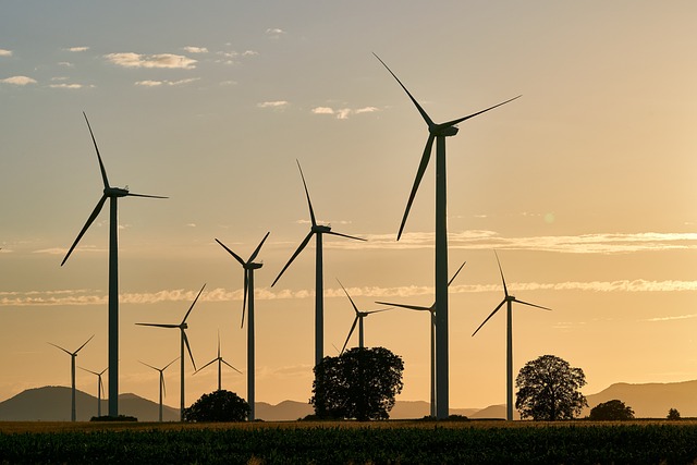 Zimbabue apuesta por la energía renovable