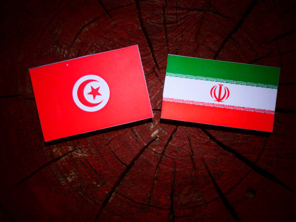 Túnez recibe un nuevo embajador de Irán