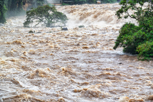 Dos semanas de inundaciones en Tanzania traen consigo 58 muertes