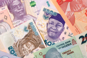Moneda Nigeria, Naira