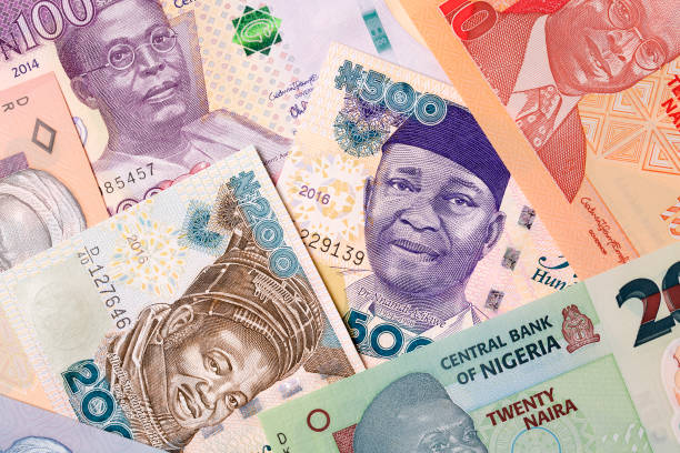 Nigeria anuncia sus planes de futuro con la Asociación Internacional del Fomento