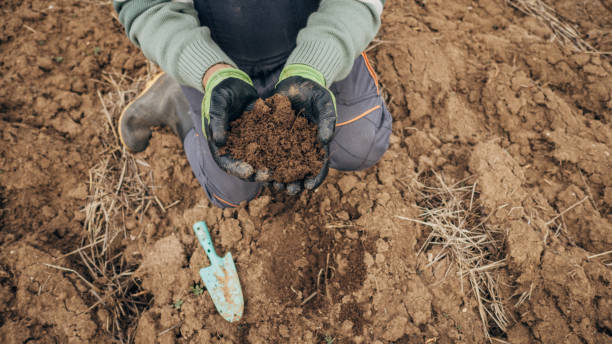 El presidente de Zimbabue quiere que África produzca sus propios fertilizantes