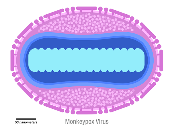 Expertos advierten de una nueva cepa del mpox