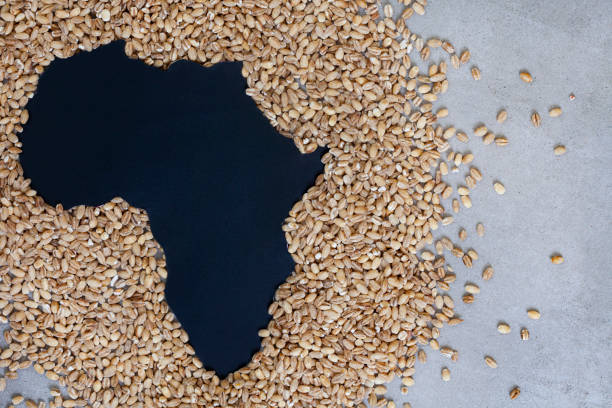 Namibia no permitirá que nadie muera de hambre