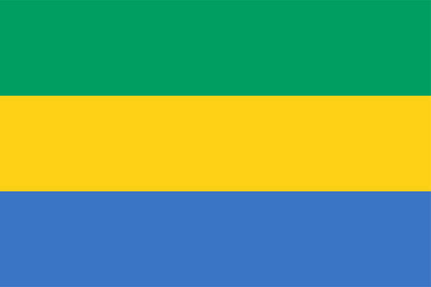 Ya está listo el nuevo proyecto de Constitución en Gabón