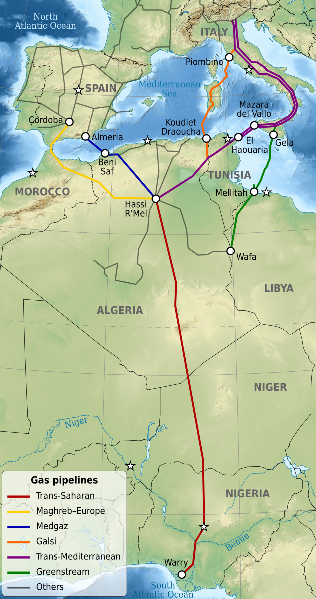 Avances significativos en el gasoducto Argelia-Nigeria