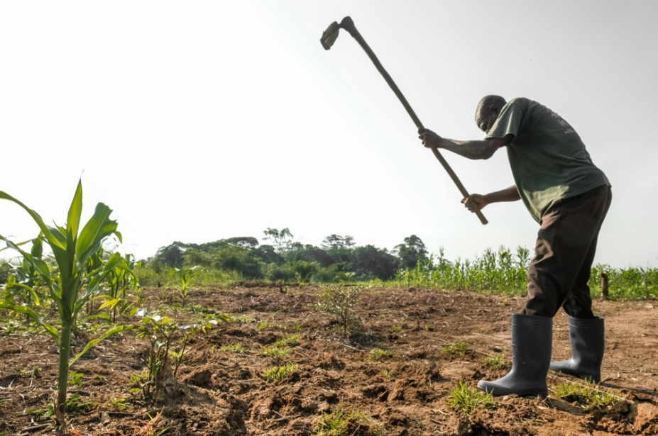 República Democrática del Congo recibirá 240 millones de euros para fomentar la autosuficiencia alimentaria