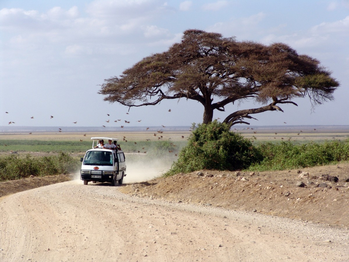 Excazadores furtivos protegen la fauna en Kenia