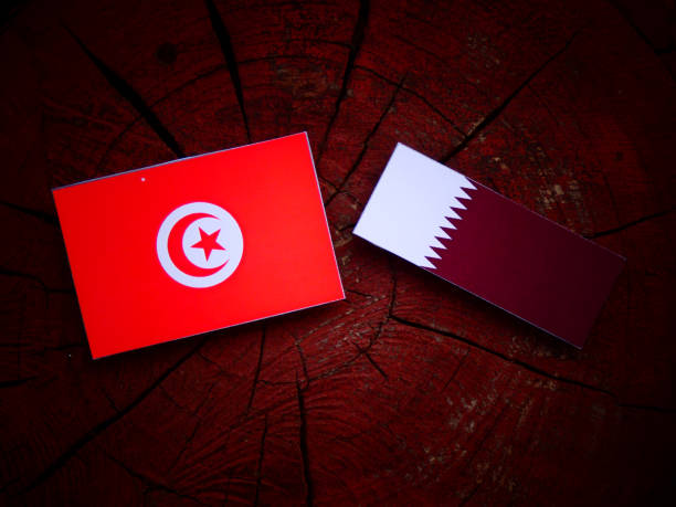 Túnez recibe al nuevo embajador de Qatar