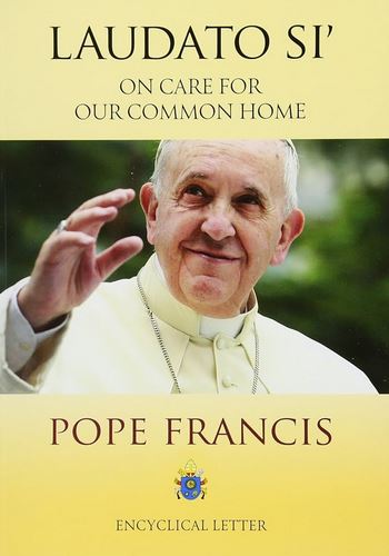 El Movimiento Laudato Si’ llama a la justicia climática en África