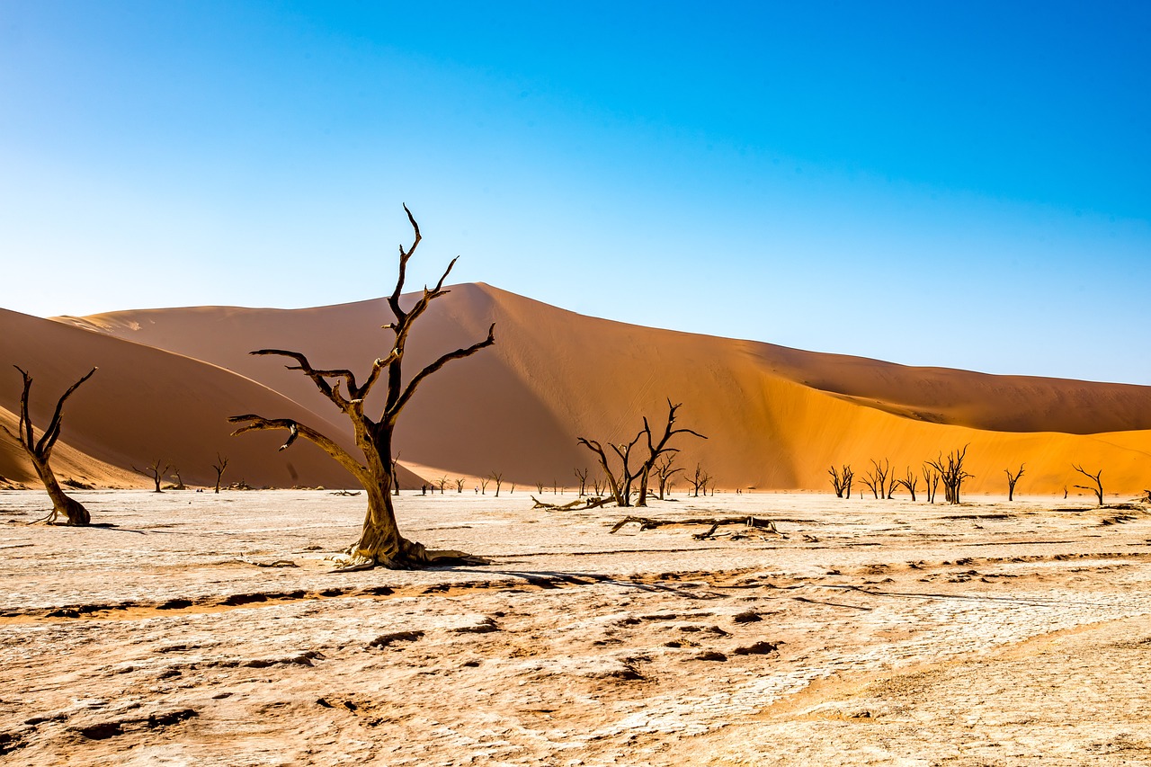 El sur de África se enfrenta a una sequía histórica