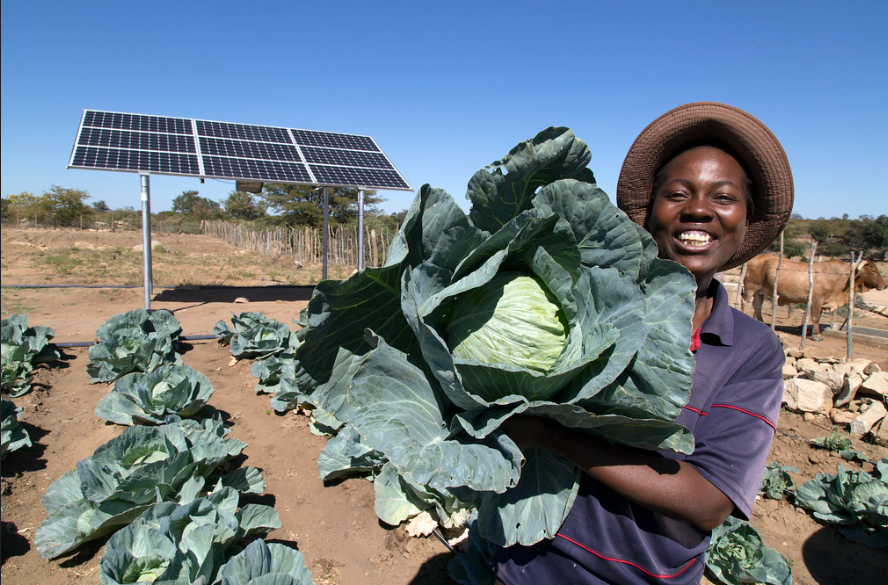 Grid Africa se asocia con Huawei para desarrollar una infraestructura solar en Zimbabue