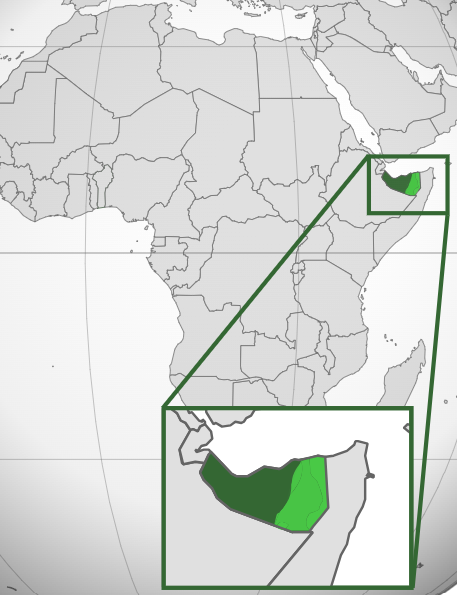 La oposición gana las elecciones de Somalilandia